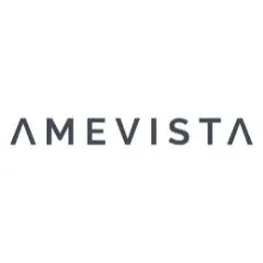 Amevista IT