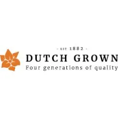 Dutch Grown