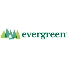 Evergreen
