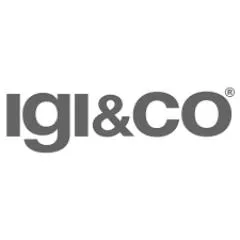 IGI And Co IT IGI And Co IT