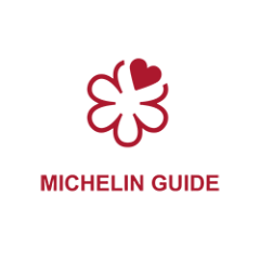 Michelin DE