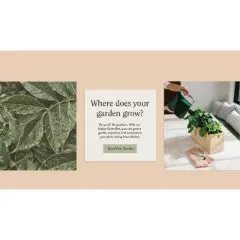 Modern Sprout