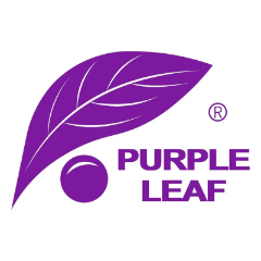 Purple Leaf CA