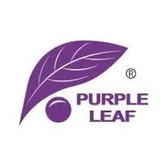 Purple Leaf