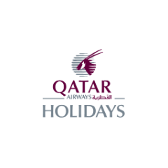 Qatar Airways IT