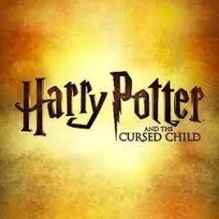 Harry Potter And The Cursed Child