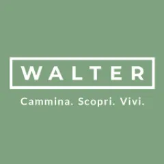 Walter IT discount code