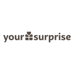 Your Surprise BE